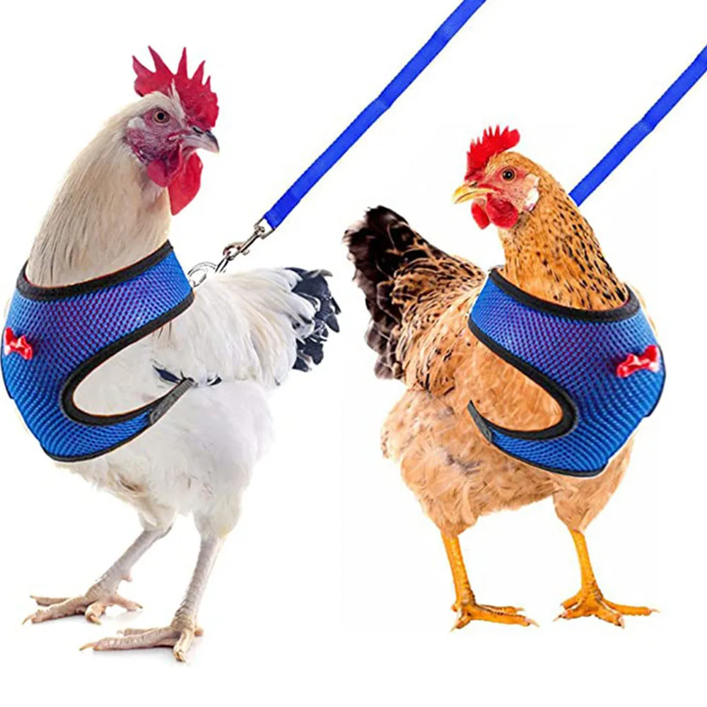 Chaleco para mascotas cinturón transpirable pollo pato moda malla mascota con pecho espalda conjunto mascota más tracción pollo pato ganso entrenamiento caminar - imagen 4