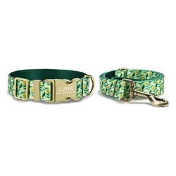 Collar personalizado con correa a juego para perro y gato – Grabado gratis