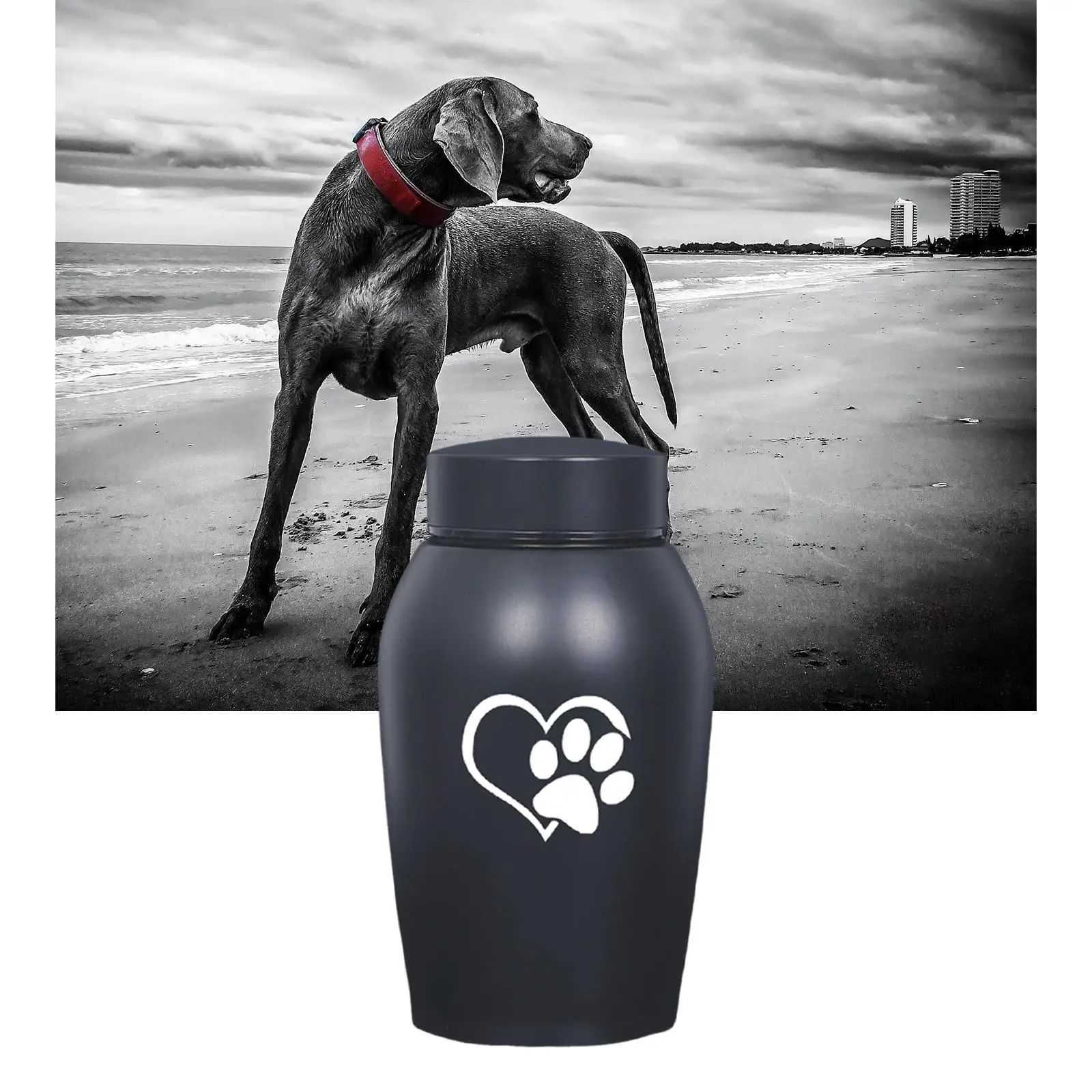 Pet Cremation Memorial Urn Casket Durable Keeping Precious Memories for Pets Burial Funeral Supplies Pet Cremation Memorial Urn Casket Durable Keeping Precious Memories for Pets Burial Funeral Supplies