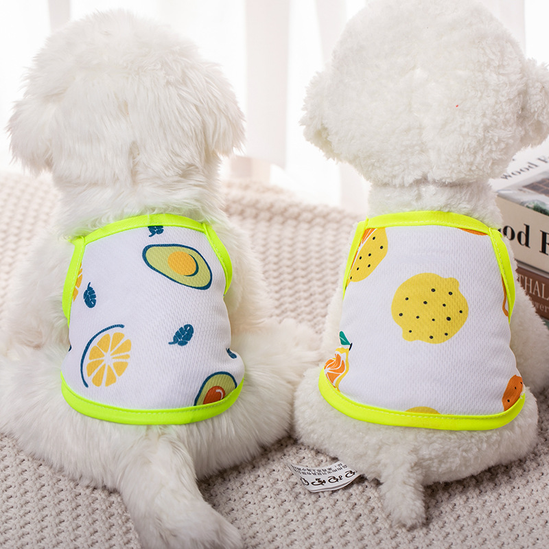 Camisola Malla Verano Mascotas - uso en Pomerania