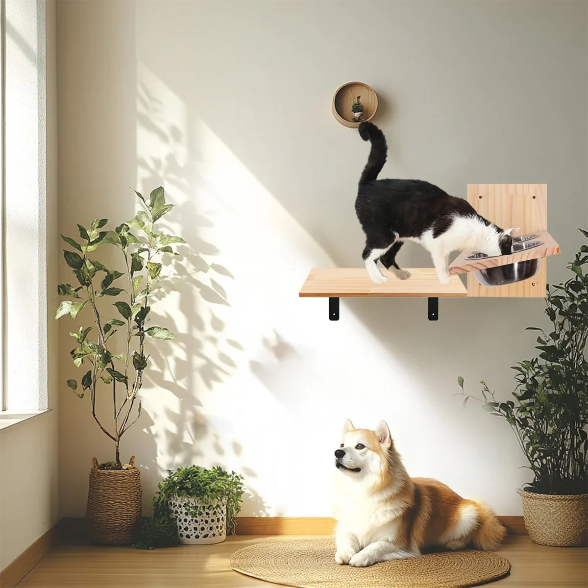 Vista frontal de la casa para gatos de madera sólida