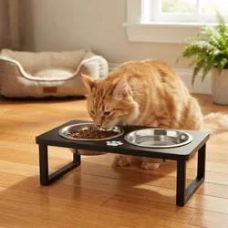 Comedero Elevado para Gatos y Perros Pequeños – Doble Acero Inoxidable