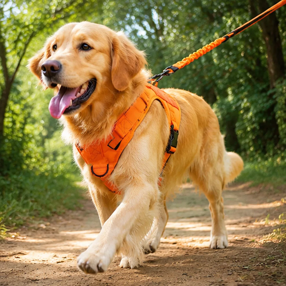 Arnés Táctico para Perro con Correa Elástica – Paseo y Entrenamiento - imagen 5