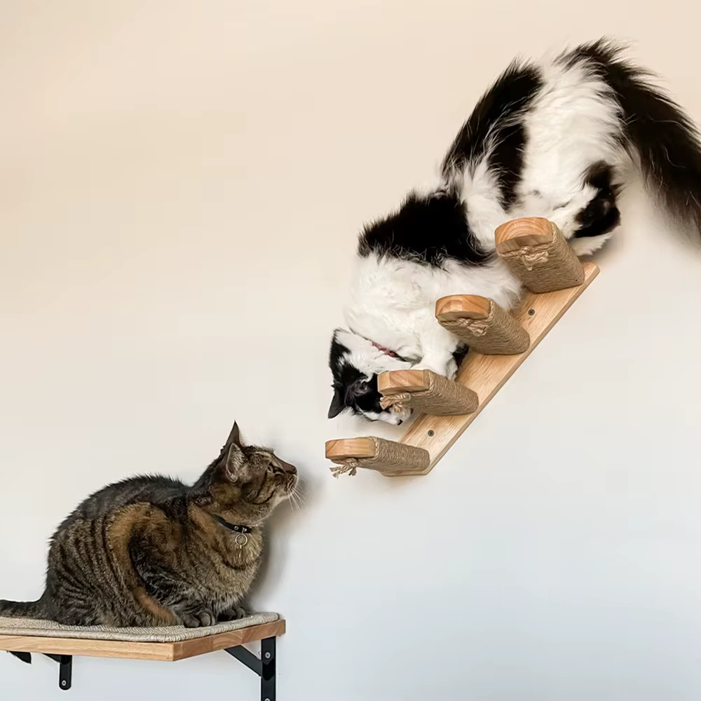 Rascador de pared con escalera de sisal y centro de juego para gatos - imagen 5
