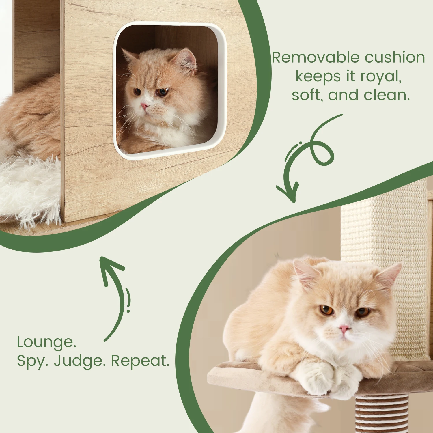 Percha cómoda del árbol para gatos con diseño acolchado