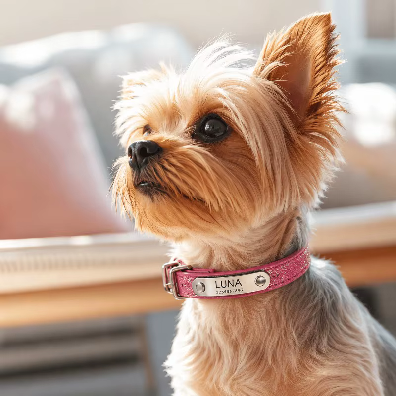 Collar reflectante personalizado ajustable para gatos y perros - imagen 2