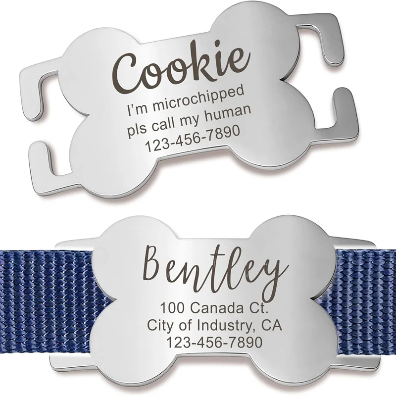 Placa colocada en collar de nylon