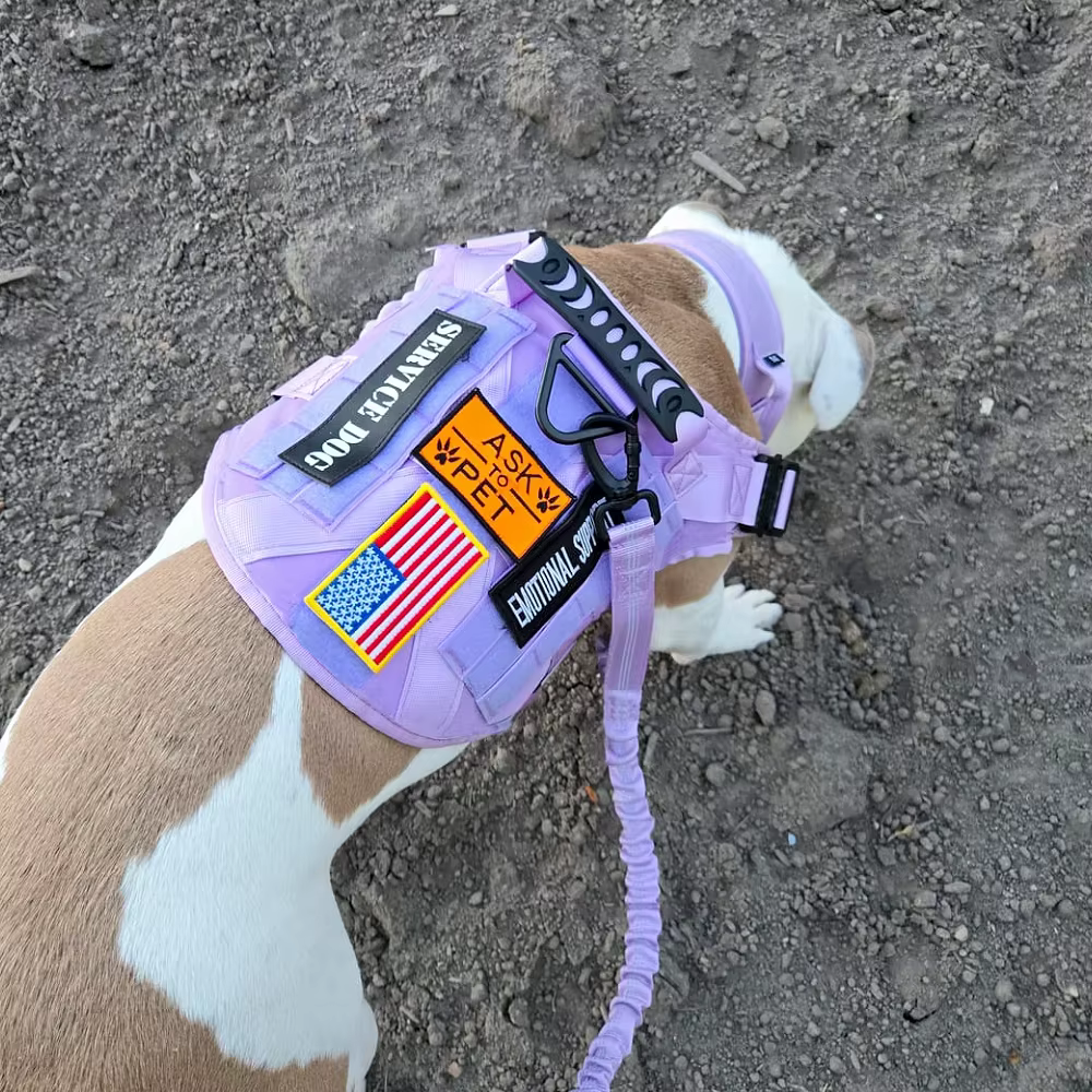 Arnés chaleco táctico para perros grandes con correa y collar - imagen 5
