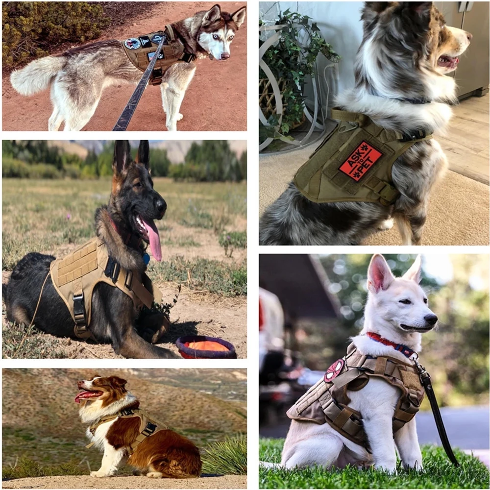 Arnés en uso para paseo exterior