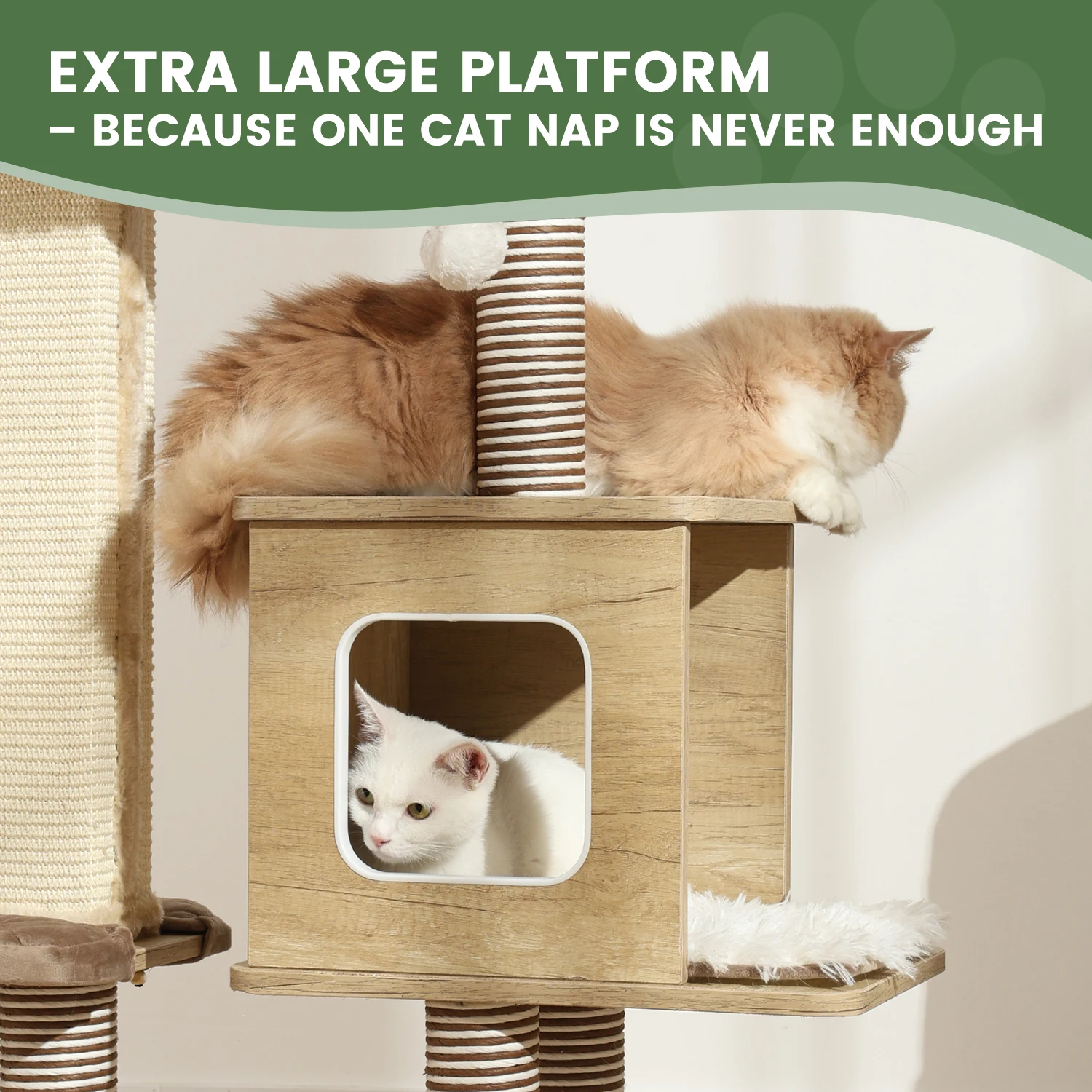 Estructura completa del árbol para gatos de varios niveles