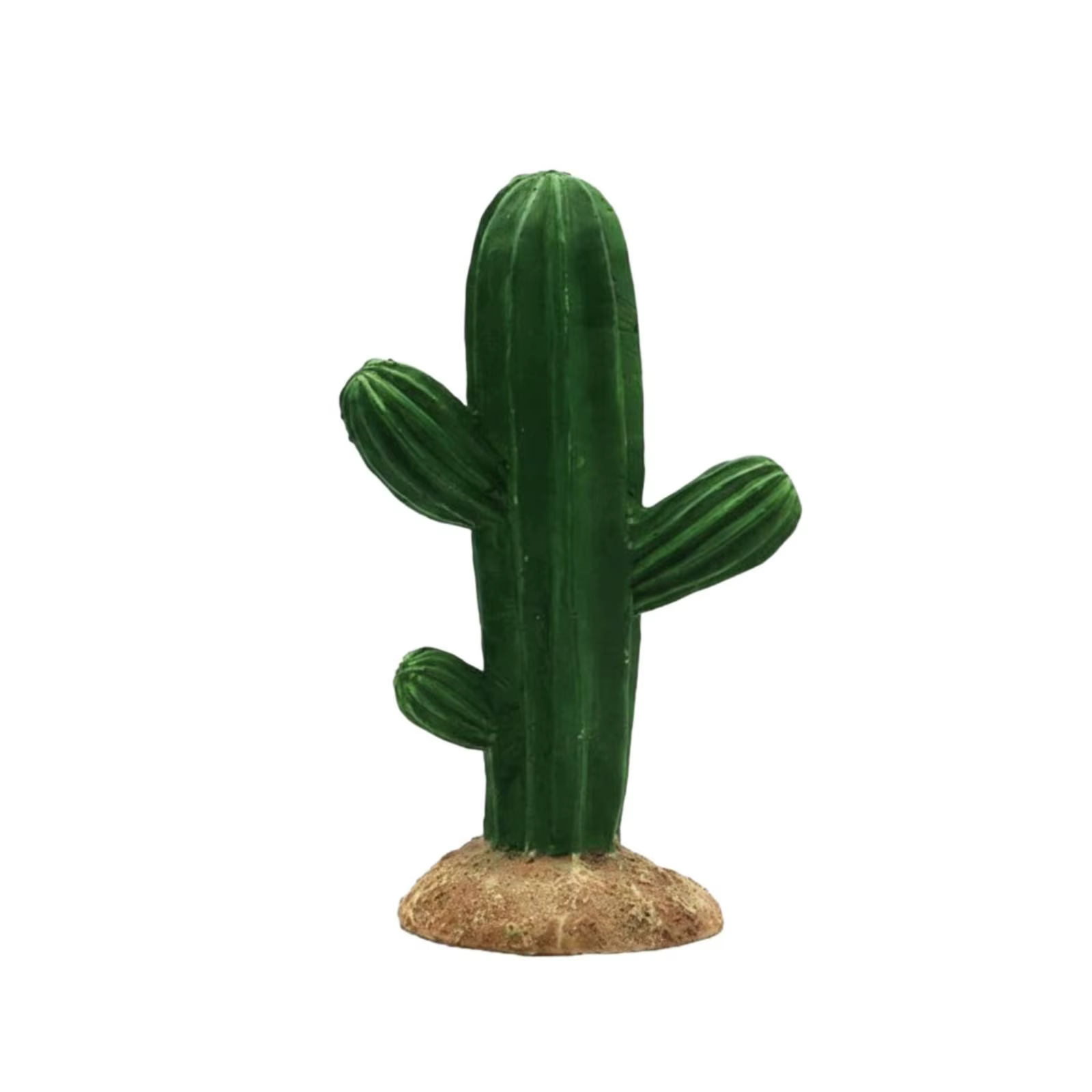 Base estable cactus acuario