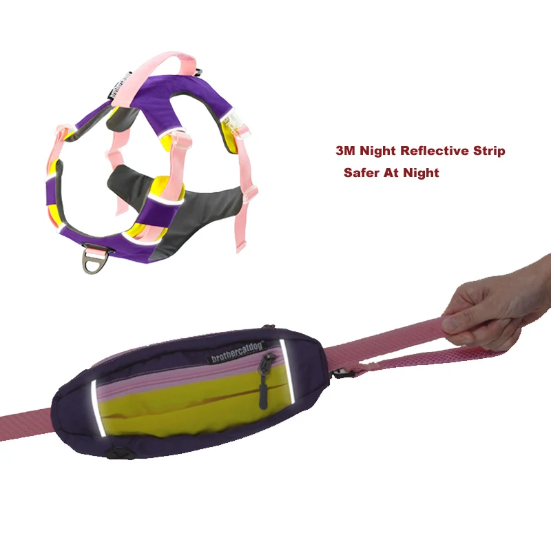 Arnés secándose al aire