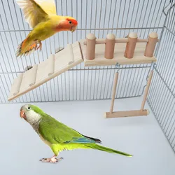 Juego de juguetes para loros y roedores: escalera y columpio