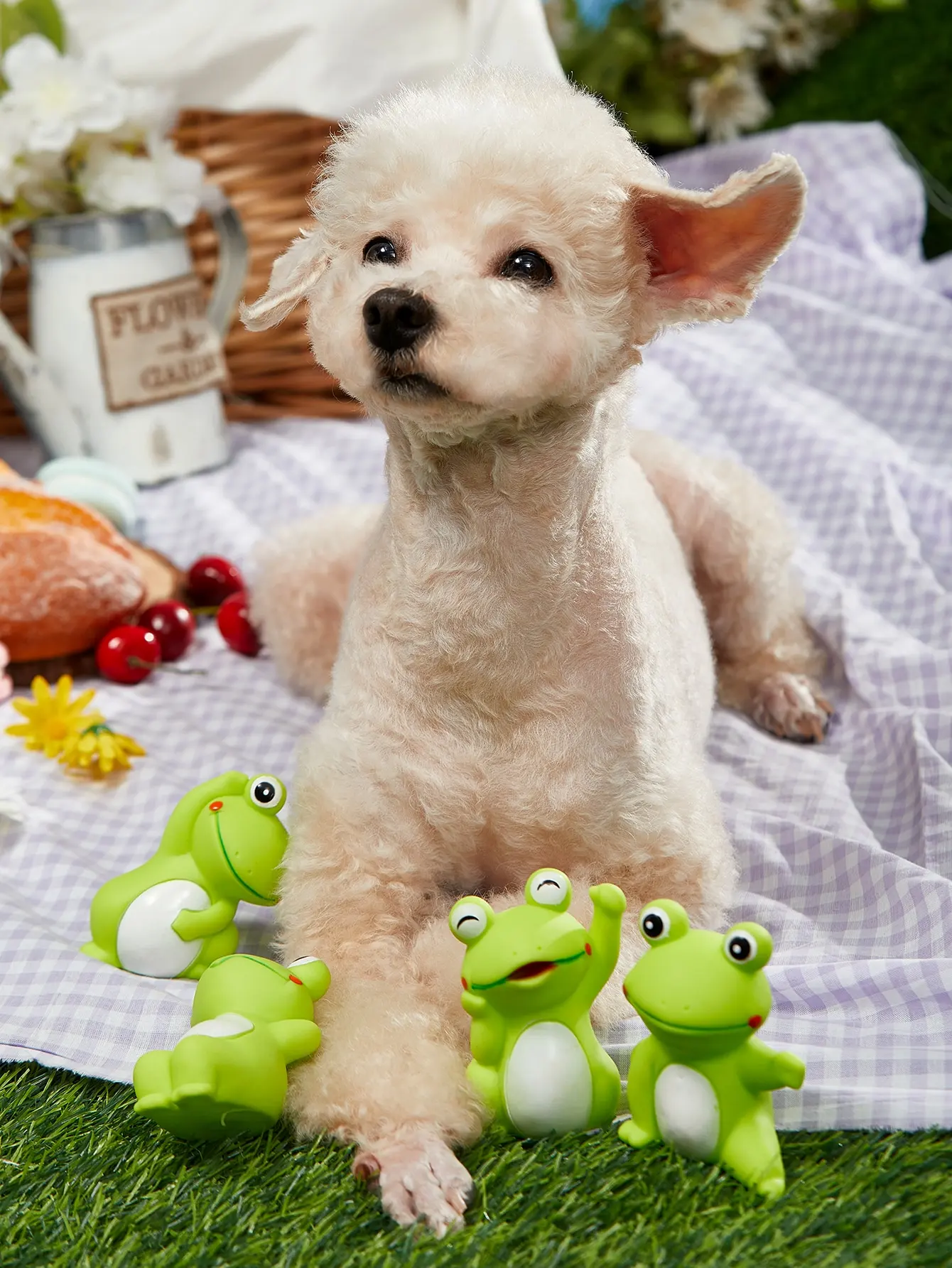 Decoración para el hogar con ranas, perfecta en gatos y perros - imagen 4