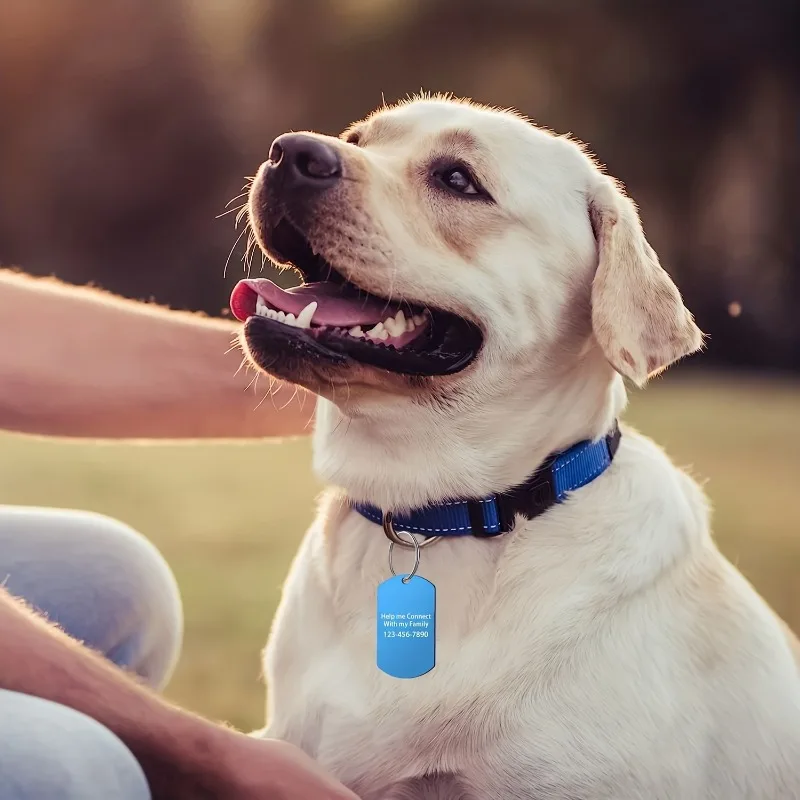 Placa de identificación para perros, grabada con teléfono - imagen 2