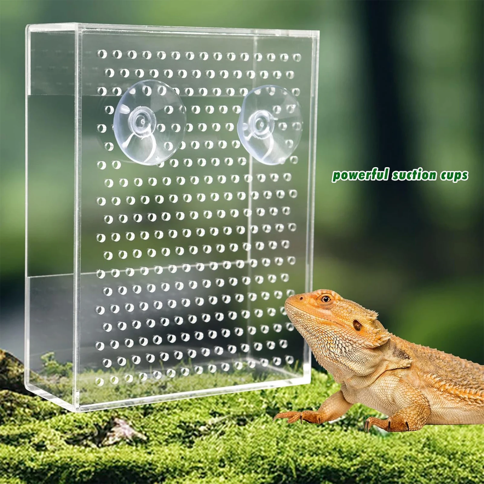 Alimentador en uso con un gecko