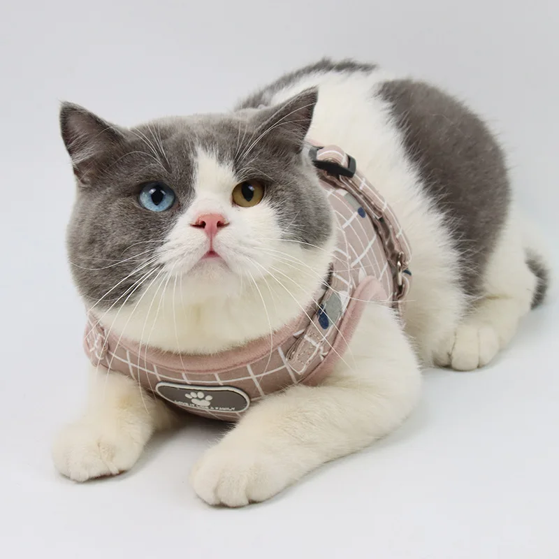 Tabla de tallas ilustrativa