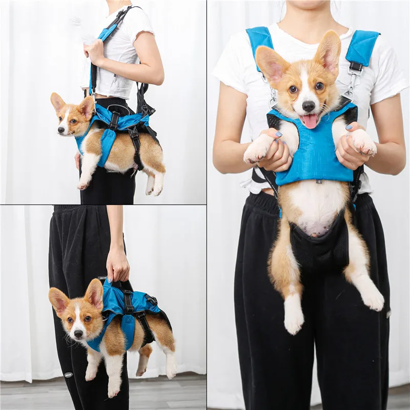 Mochila pechera 4 en 1 para perros: arnés transpirable y reflectante - imagen 4