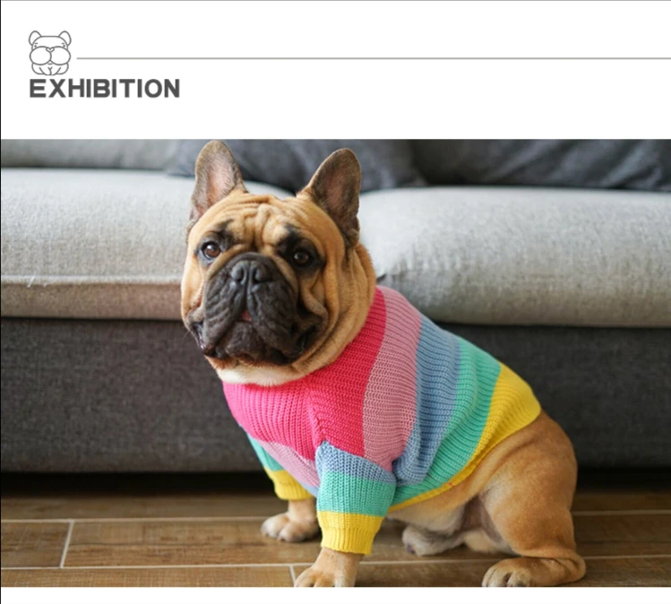 Suéter arcoíris para perro en colores vistosos