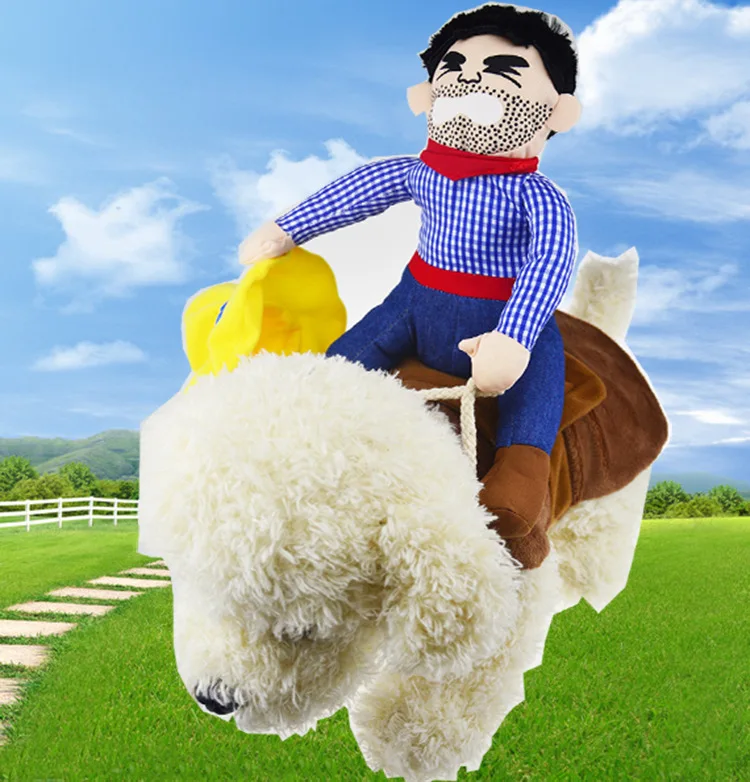 Mascota pequeña con traje vaquero