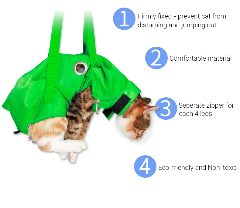 Proceso de colocación y ajuste