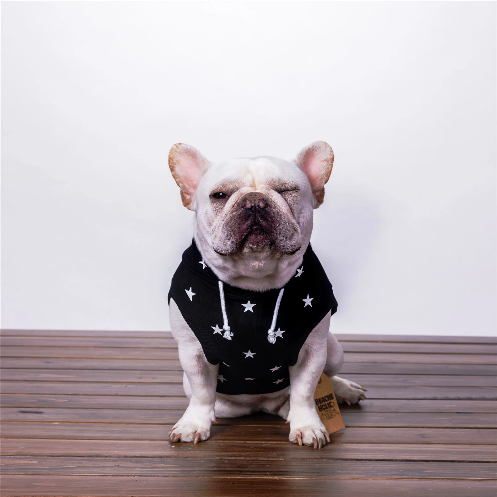 Side view of a French Bulldog wearing the sweater, showing fit around chest and neck