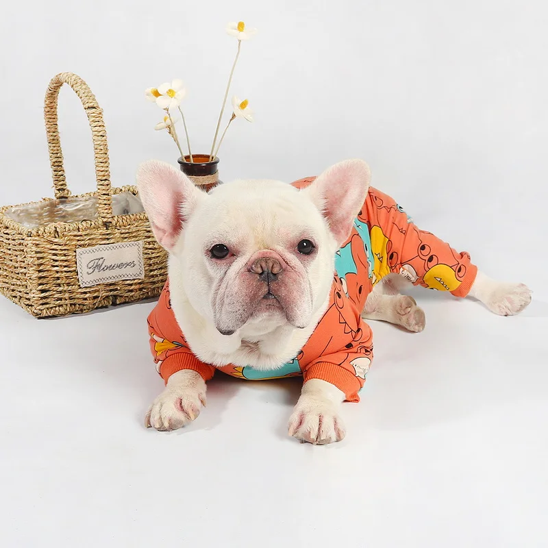 Prenda puesta en perro