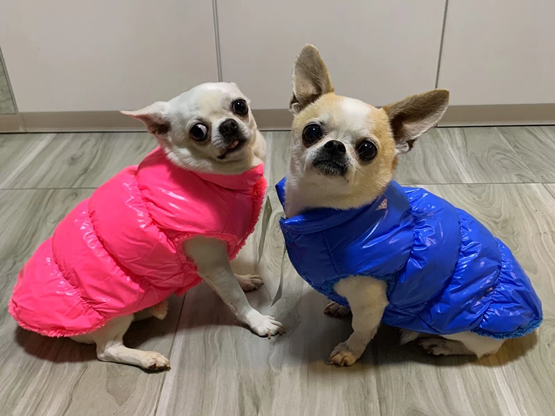 Guía de tallas con cinta métrica junto al abrigo