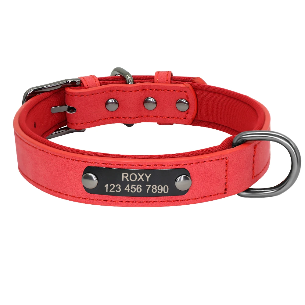 Collar ajustable para perros varias tallas