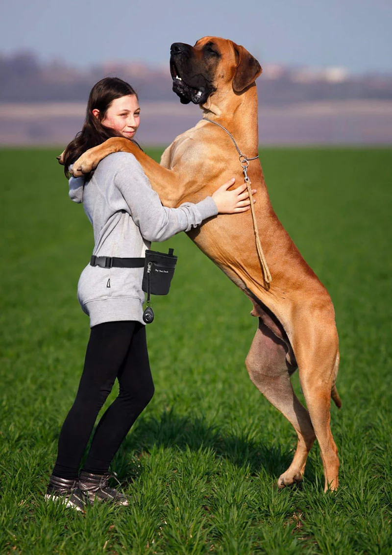 Detalles de las medidas y material