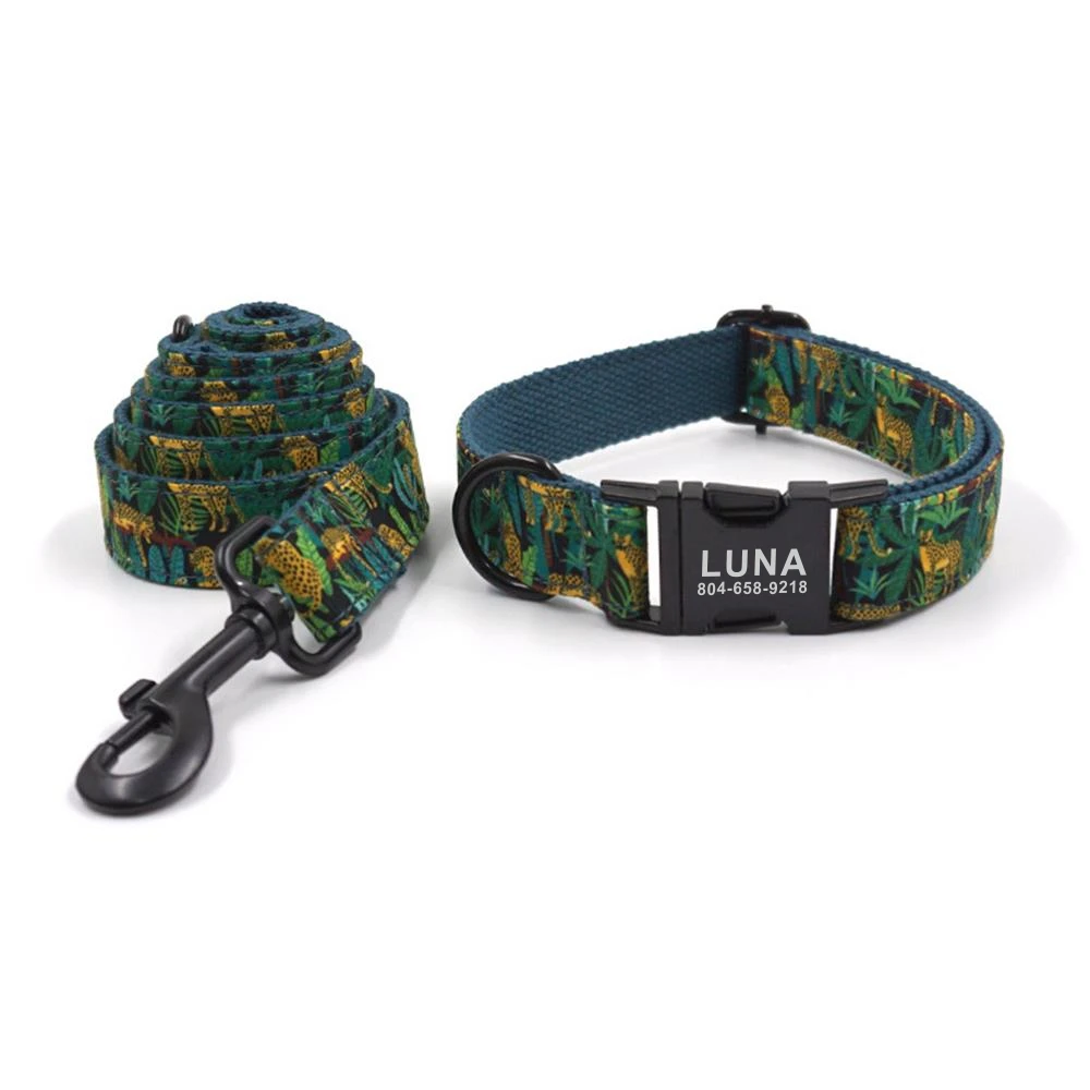 Collar y correa a juego