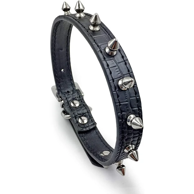 Collar Benepaw en uso