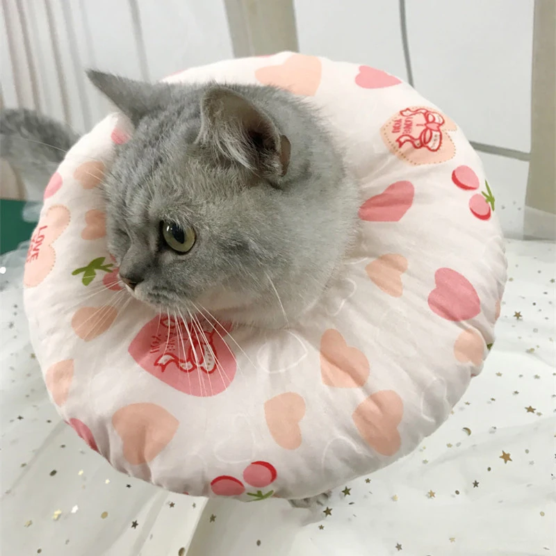 Collar en un gato pequeño mostrando la suavidad del relleno
