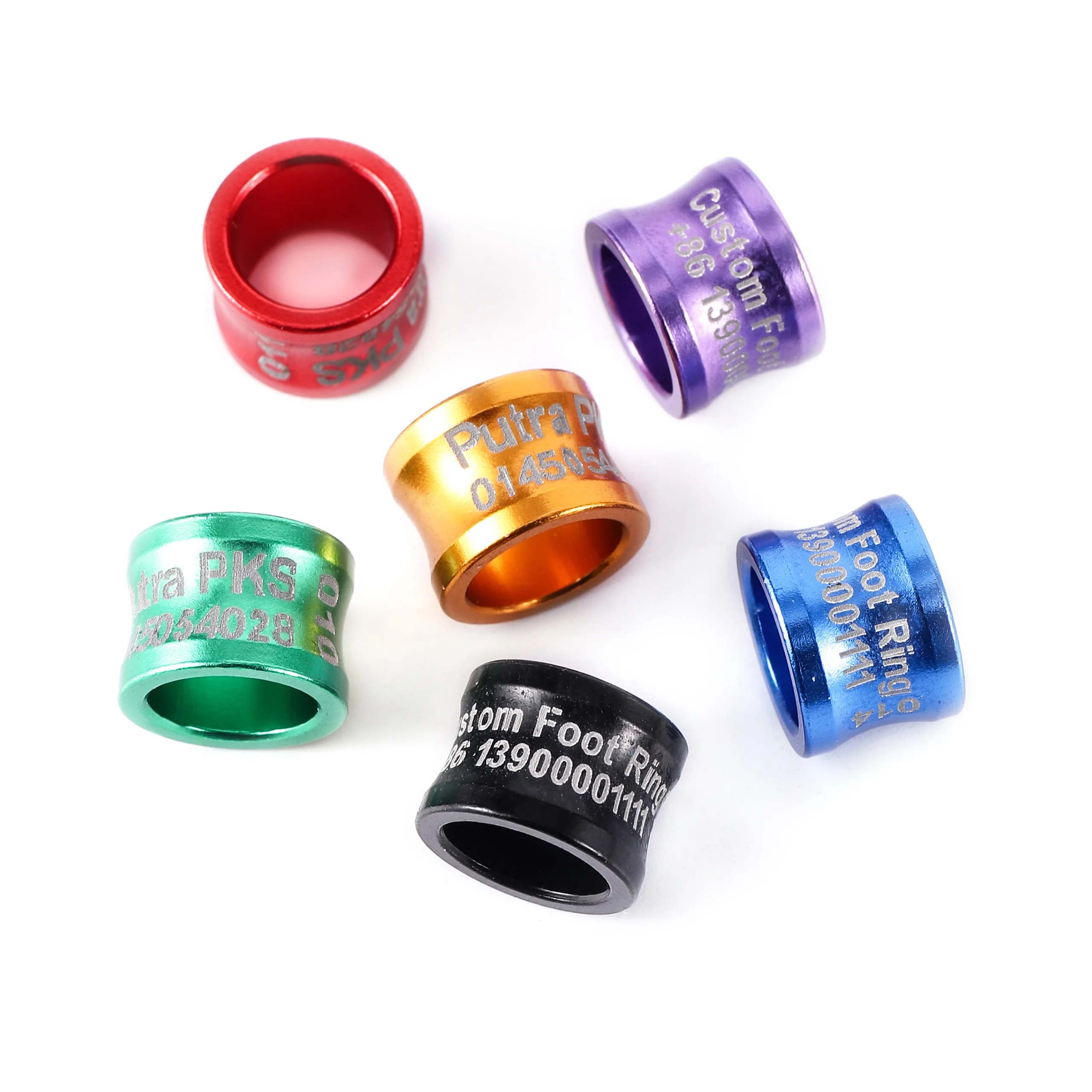 Anillo negro en contexto de ave