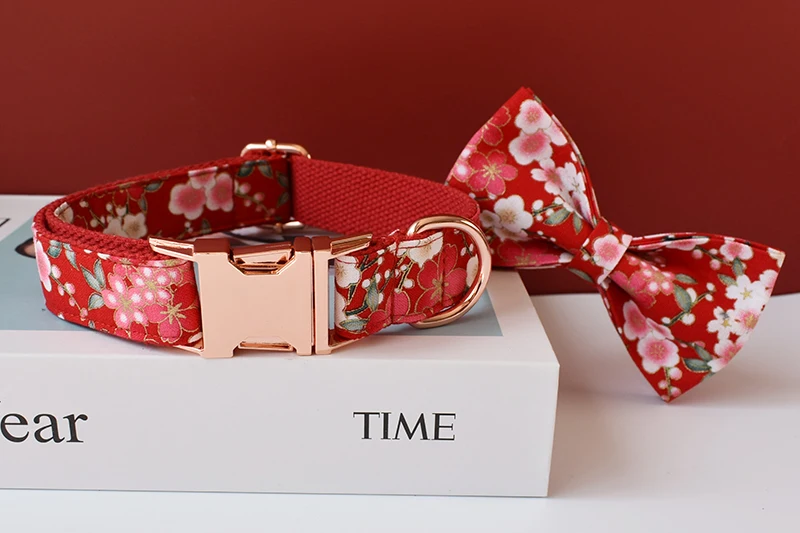 Collar y correa floral en contexto de paseo