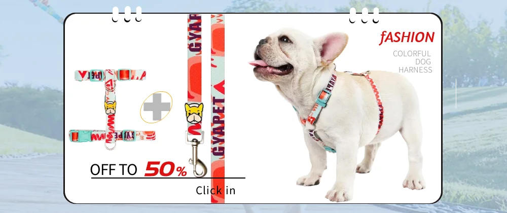 Conjunto de arnés y correa para perro estilo fashionable