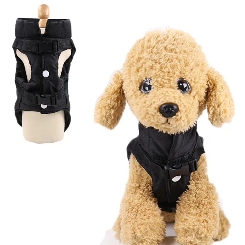 Perro con chaleco en paseo urbano