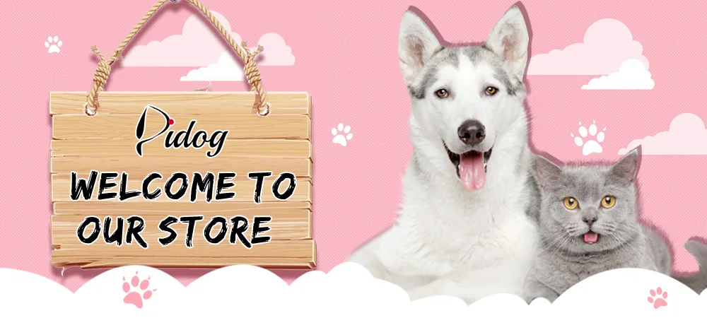 Conjunto completo de arnés y correa para perro