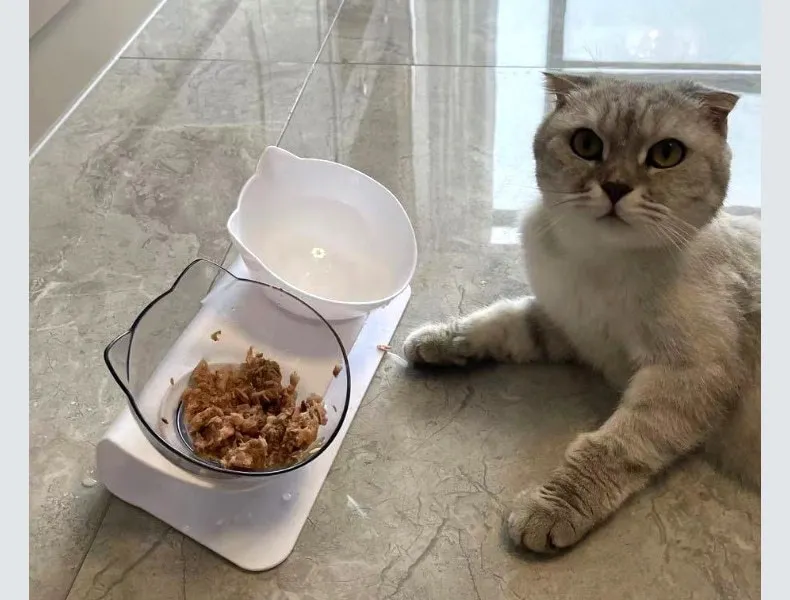 Cuenco doble con soporte inclidable para gatos