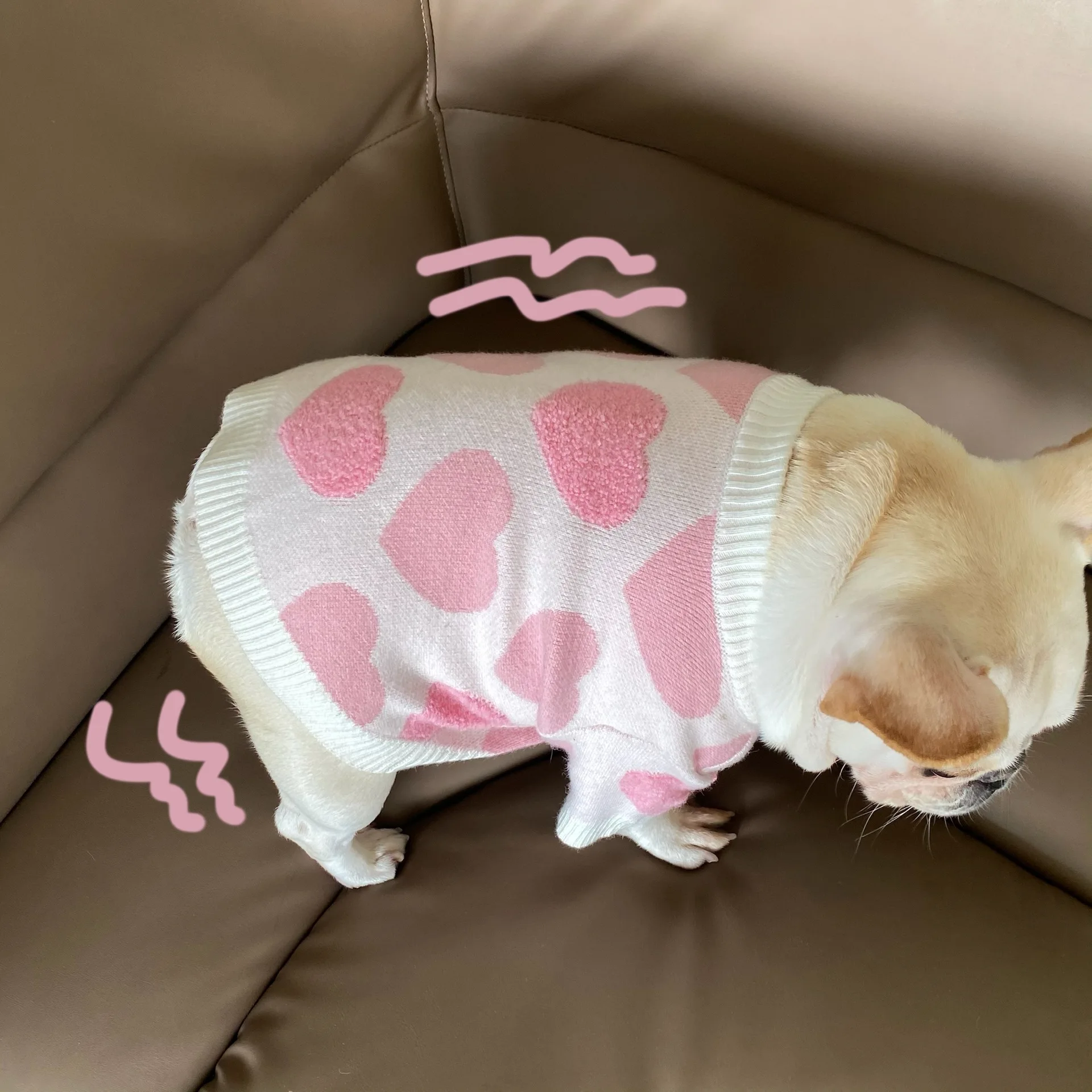 Mascota usando jersey