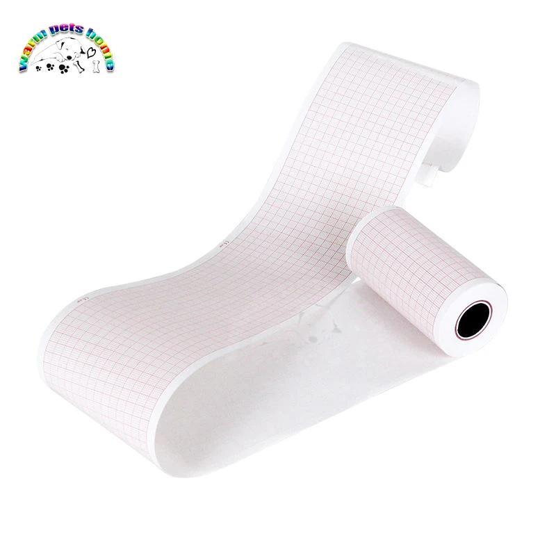Pack de 10 rollos ECG