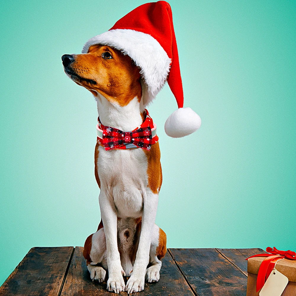 Lazo navideño rojo con motivo festivo