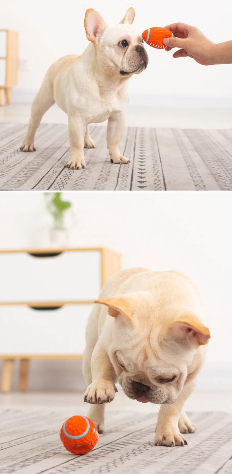 Pelota junto a otros accesorios para mascotas