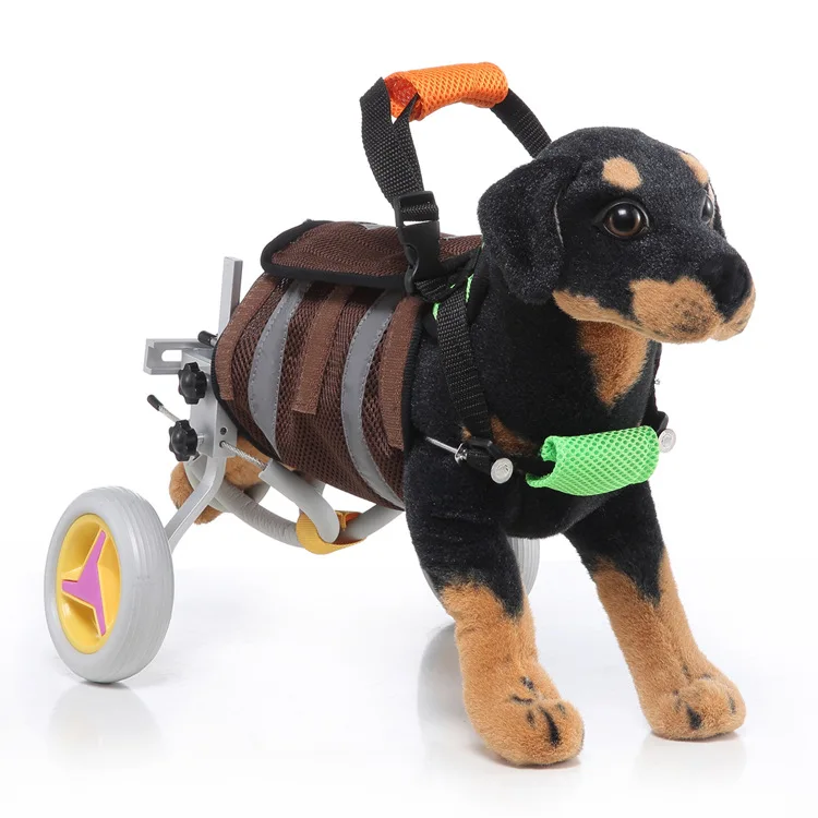 Perro usando el carrito con guía de seguridad