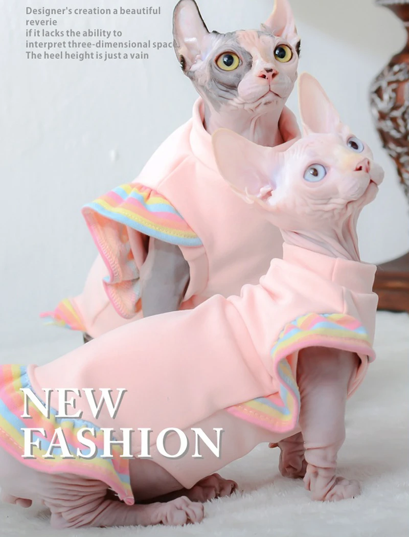Gato con jersey y chaqueta hoopreety