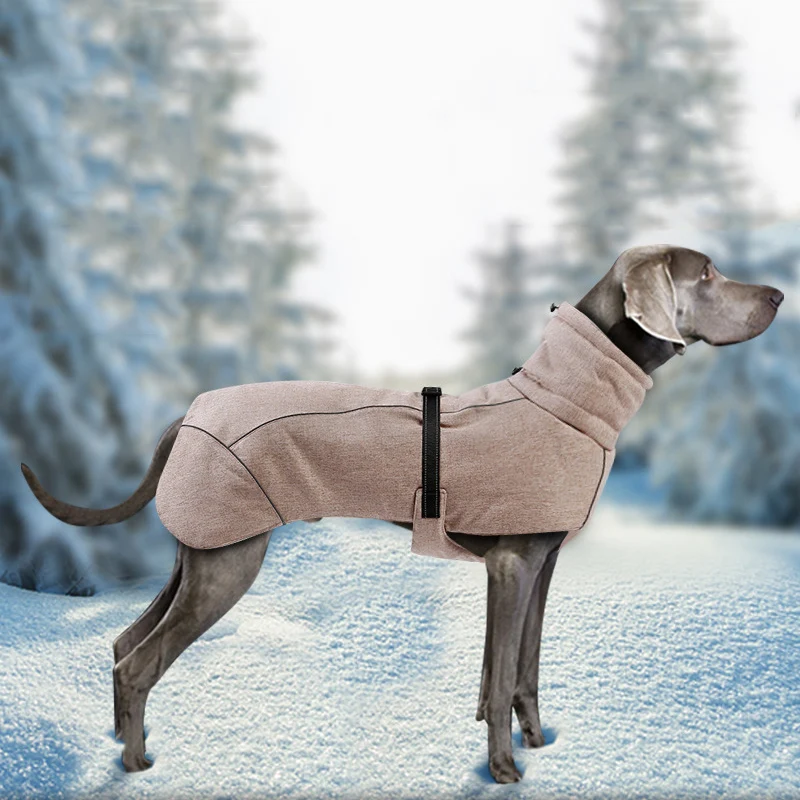 Perro Shepherd con el abrigo puesto al aire libre