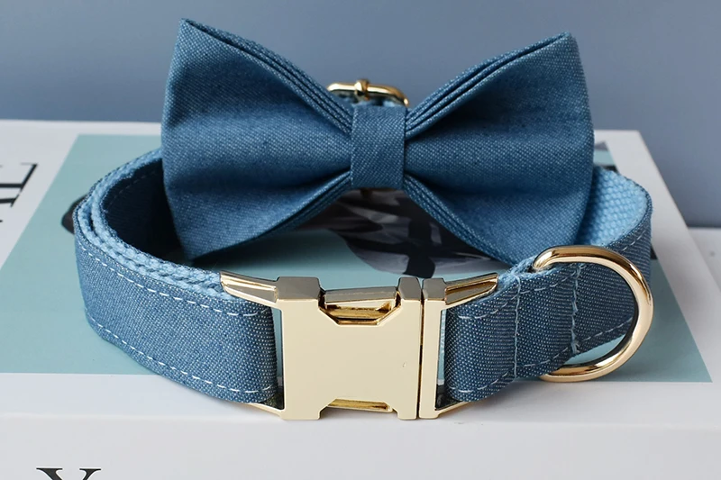 Perro con collar estilo cowboy
