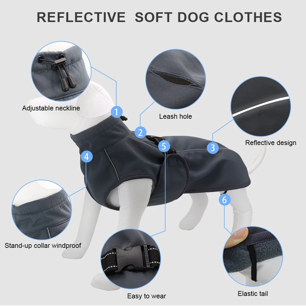 Perro Bulldog con la chaqueta
