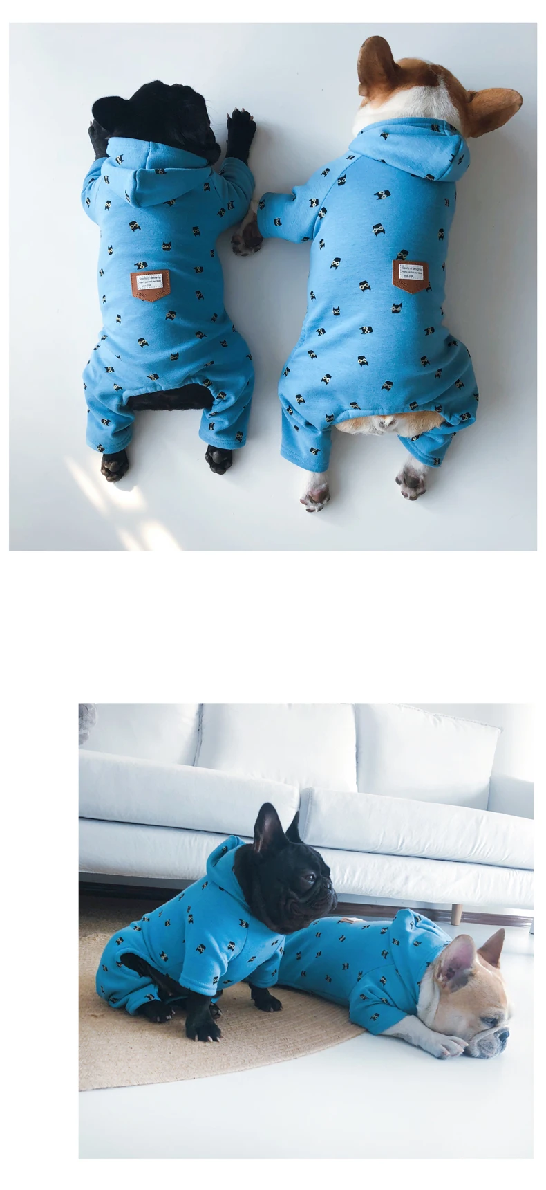 Perro vestido con la sudadera en interior