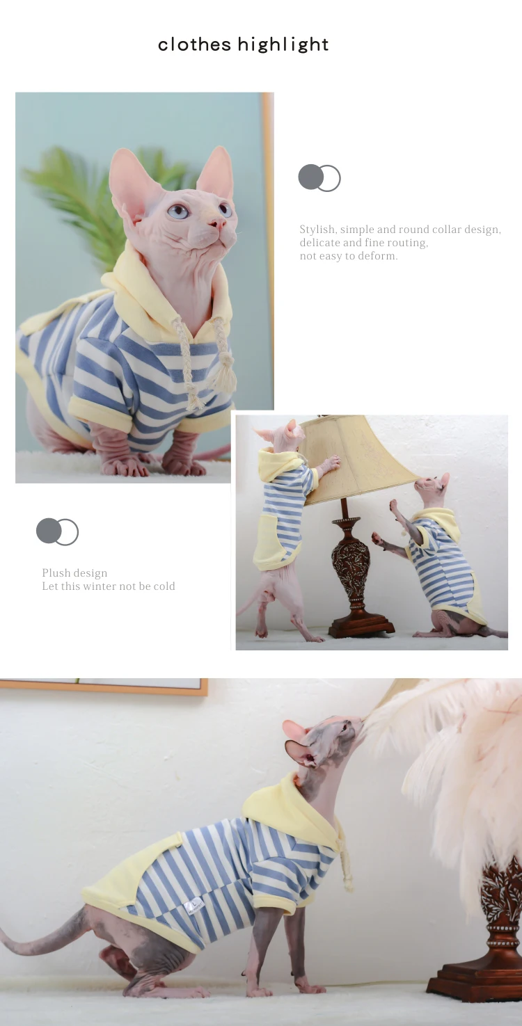Ropa para Sphynx y otras razas